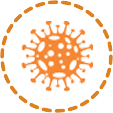 virus